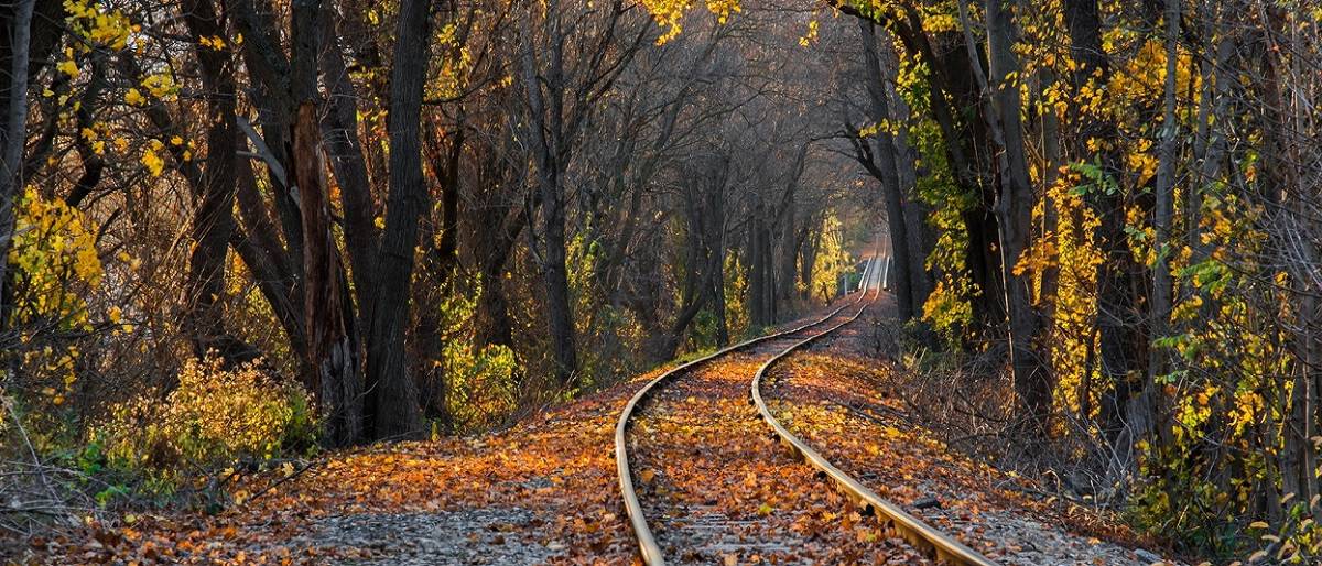 Asesoria Ambiental Permanente y Estrategica